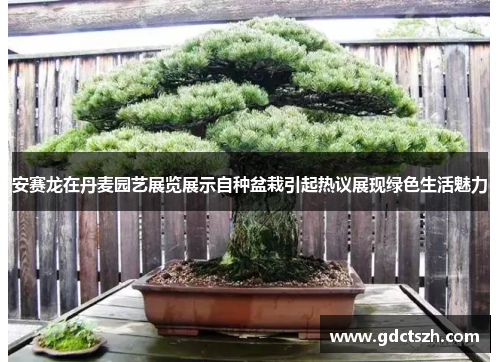 安赛龙在丹麦园艺展览展示自种盆栽引起热议展现绿色生活魅力