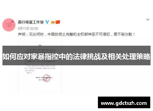 如何应对家暴指控中的法律挑战及相关处理策略 如何应对家暴指控中的法律挑战及相关处理策略