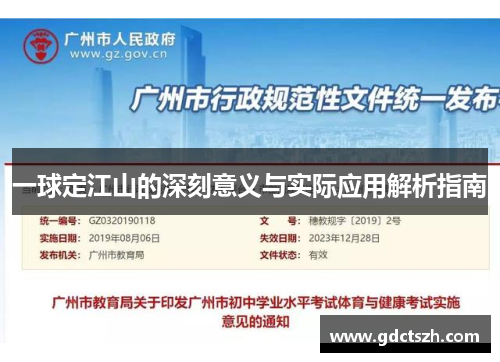 一球定江山的深刻意义与实际应用解析指南